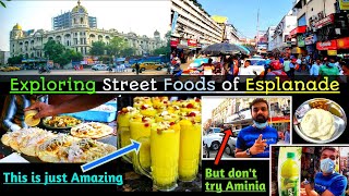 Esplanade এর Street Foods Try করলামনিউ মার্কেট স্ট্রিট ফুড 2022Street Food KolkataFoodFunDa [upl. by Rollecnahc]