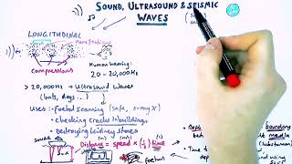 Ultrasound amp Seismic waves  GCSE Physics Paper 2 [upl. by Lovett944]