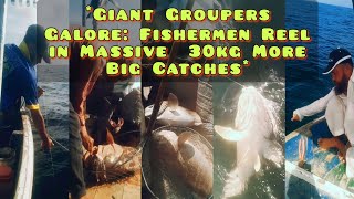 Giant 30 kg Groupers Galore Fishermen Reel in Massive More Big Catches [upl. by Meagher]