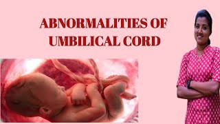 abnormalities of umbilical cord OBG nursingwhiteknight corps Umbilical cord abnormalities [upl. by Airdnola679]