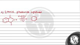 Explain briefly a Carbylamine reactionb Gabriel phthalimide synthesis [upl. by Barn]