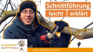 Der richtige Schnitt  die beste Schnittführung beim Obstbaumschnitt für alle Obstarten  große Äste [upl. by Brnaba737]