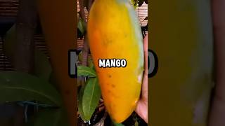 What Happens to Your Body If You Eat Mango Every Day for 2 Weeks health healthtips [upl. by Balling]