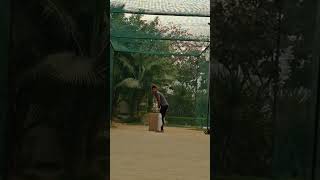 Scoop shot cricket suplashot batting suryakumaryadav [upl. by Reginauld]