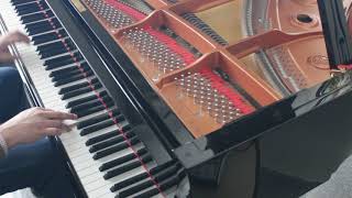 Liszt Consolation 3 [upl. by Sherourd]