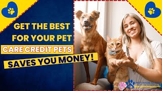 Get the Best for Your Pet – Care Credit Pets Saves You Money [upl. by Boyd]