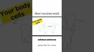 How vaccine works  funnyshorts biology 1million viralshorts [upl. by Philis211]