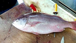 How to Take the Skin off Red Snapper  Amazing Fillet Skills  Easy and Fast [upl. by Braca]