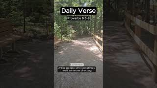 1 Verse 1 Minute Proverbs 668 [upl. by Ijic618]