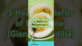 5 Health Benefits of Barbadine Giant Granadilla You Need to Know  carecrash [upl. by Sualokcin]