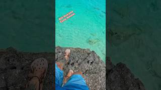 Rock Jump Bahamas POV vacation bahamas POv [upl. by Tnecillim]