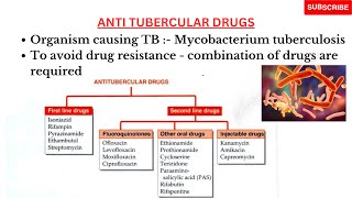 Antitubercular drugs  Important points [upl. by Bonnell2]