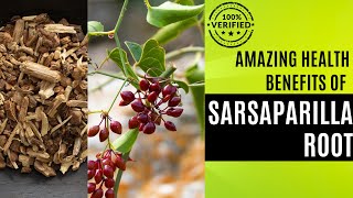 Unlocking the Secrets of Sarsaparilla Root A Journey into Its Health Benefits [upl. by Bertolde]