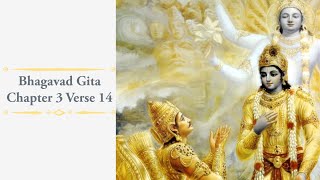 Bhagavad Gita Chapter 3 Verse 14 [upl. by Querida]