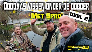 Doodaas vissen onder de dobber met Spro  deel 2 [upl. by Warenne]