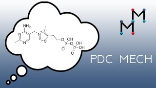 Pyruvate Dehydrogenase Mechanism The Chemistry of TPP [upl. by Boynton]