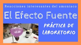 Propiedades Del Amoniaco Efecto Fuente Práctica de laboratorio completa [upl. by Introc]