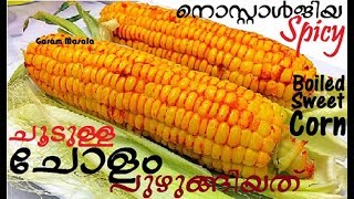 തണുപ്പത്തു നല്ലചൂടുള്ള ചോളം പുഴുങ്ങിയത് Spicy Boiled Sweet Corn on the Cob Delicious Street Food [upl. by Atirabrab346]