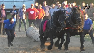 MAKS I SOKO DUCELJE DOMINANTNI NA TEŠKOJ BUKVI MAGLAJACA [upl. by Erasmo146]