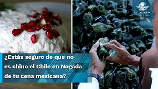 Receta del Chile en Nogada en peligro productores preservan las semillas de los ingredientes [upl. by Philbert182]