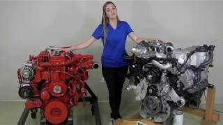 MaxxForce 7 vs Cummins ISB Medium Duty Truck Diesel Engine Comparison [upl. by Aloysia303]