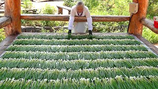 700 sold a day Amazing Pancake Master Grandma Traditional Green Onion Pancakes  Korean food [upl. by Esinyl]