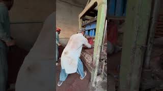 Auto Plant Bricks ￼Tile Making process ytshorts [upl. by Eelessej]