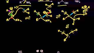 Acid and basecatalyzed hydrolysis of amides  Organic chemistry  Khan Academy [upl. by Biegel669]