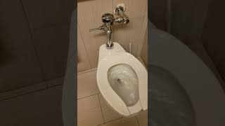 Short flush problem on your commercial toilets [upl. by Nnylg]