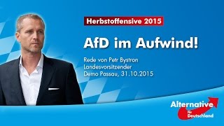 Petr Bystron  Rede Demo Passau  AfD Bayern 31102015 [upl. by Horodko665]