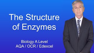 A Level Biology Revision quotThe Structure of Enzymesquot [upl. by Caughey558]