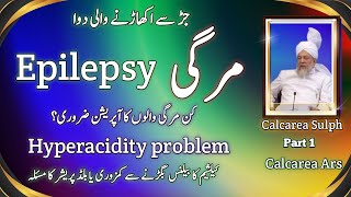 Epilepsy Hyperacidity problem  Mergi calcarea sulph  Calcarea ars [upl. by Ahseila]