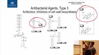 26BetaLactam Structure Activity [upl. by Enivid509]