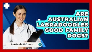 Are Australian Labradoodles Good Family Dogs  PetGuide360com [upl. by Ahsotan]