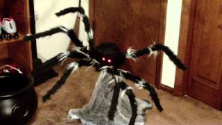 Jumping Spider Animated Prop [upl. by Aicilaanna]