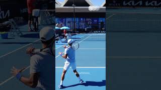 Forehand Compilation  Novak Djokovic Slow Motion Back View 2 Shorts [upl. by Yoo]