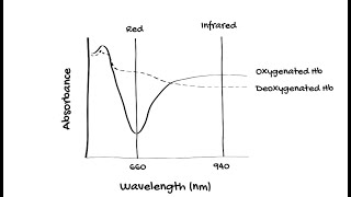 How does Pulse Oximetry work [upl. by Hau]