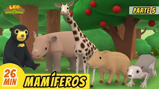 Mamíferos Episodio Compilación Parte 56 Español  Leo El Explorador  Animación  Familia [upl. by Rhodie]