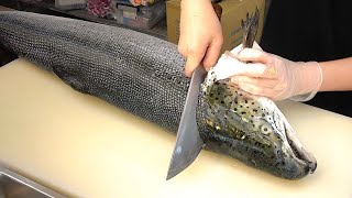 How To Fillet a Whole Salmon  Sashimi amp Sushi Taiwanese street food [upl. by Marou]