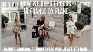 CANNES VLOG WHERE TO SHOPVISITEATSTAY  HOW WE TAKE OUR DOGS TO FRANCE [upl. by Nonnek]