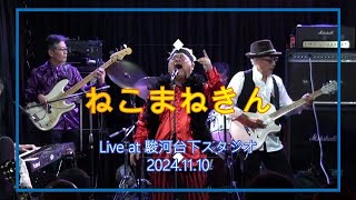 【ねこまねきん】Live at 駿河台下スタジオ 20241110 [upl. by Suriaj]