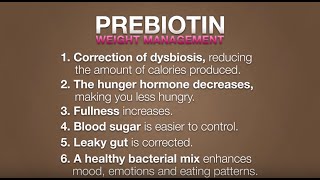 Natural Weight Management With Prebiotics [upl. by Doniv255]