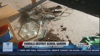 Vandals destroy preschool garden amp the school needs your help to rebuild [upl. by Clayson542]