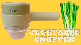 Try this chopper to chop your green onion  Vegetable Chopper  Vegetable Slicer  Gadgets Review [upl. by Legra316]