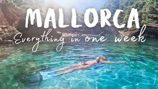 Best places to snorkel explore amp get local snacks in Mallorca [upl. by Atival]