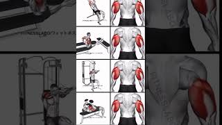 hand workout exercise short [upl. by Perreault]