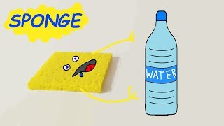 Sponge absorbs water  The Genius [upl. by Strohbehn]