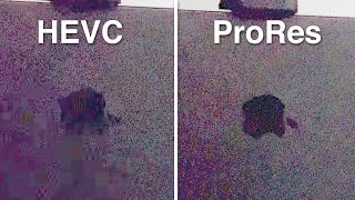 Why Shoot ProRes on the iPhone 13 Pro Realworld differences [upl. by Studdard901]