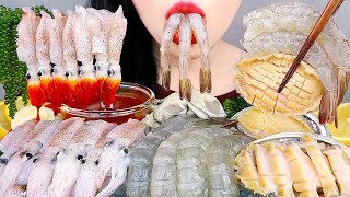 ASMR RAW SEAFOOD MUKBANG 꼴뚜기회 새우회 생굴 전복회 바다포도 먹방 OYSTER BABY SQUID SHRIMP SEA GRAPES ABALONE [upl. by Kristyn666]