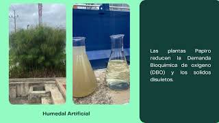 Video Toxicología Ambiental Practica en Tunja [upl. by Ailaham525]